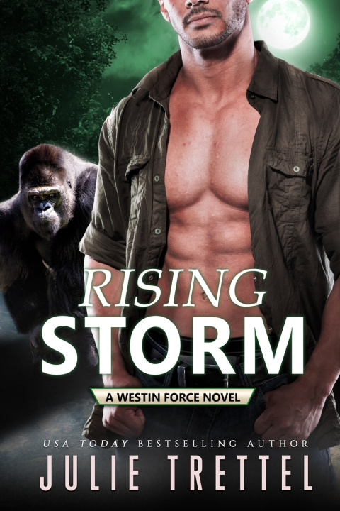 Book Rising Storm Julie Trettel
