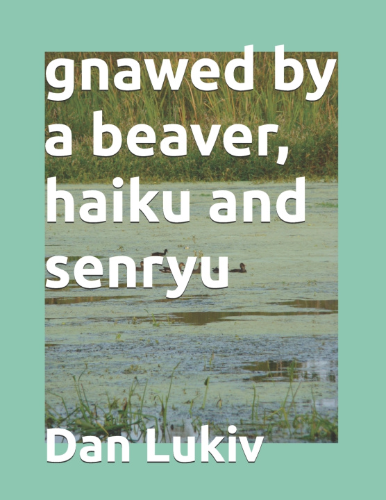 Книга gnawed by a beaver, haiku and senryu Dan Lukiv