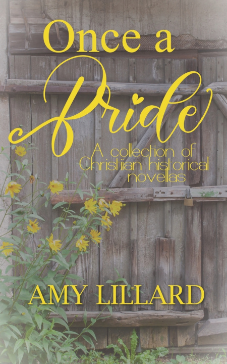 Knjiga Once a Bride Amy Lillard