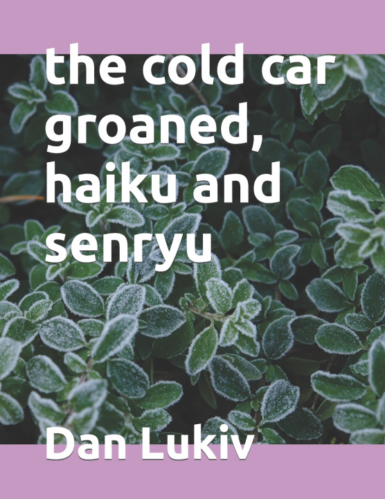 Βιβλίο cold car groaned, haiku and senryu Dan Lukiv