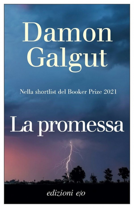 Könyv promessa Damon Galgut