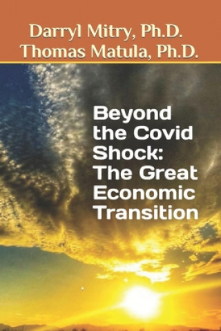 Knjiga Beyond the Covid Shock: The Great Economic Transition Thomas Matula