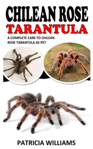 Carte Chilean Rose Tarantula Patricia Williams