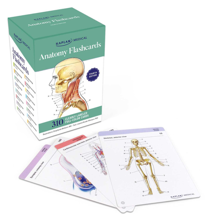 Játék Anatomy Flashcards Stephanie McCann