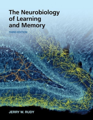 Könyv The Neurobiology of Learning and Memory Jerry W. Rudy