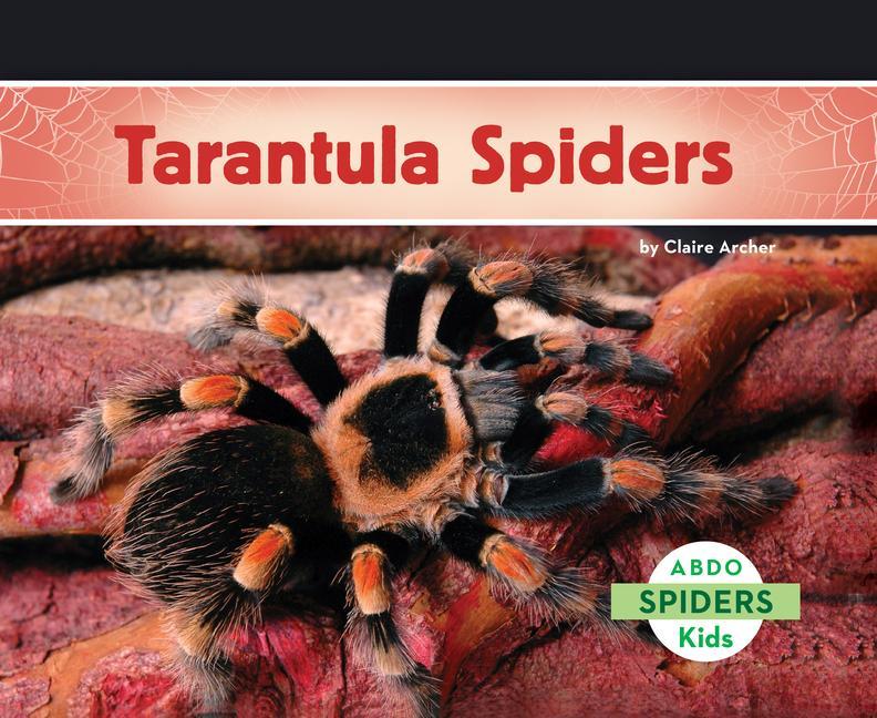 Kniha Tarantula Spiders Claire Archer