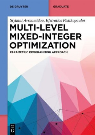 Boek Multi-level Mixed-Integer Optimization Styliani Avraamidou