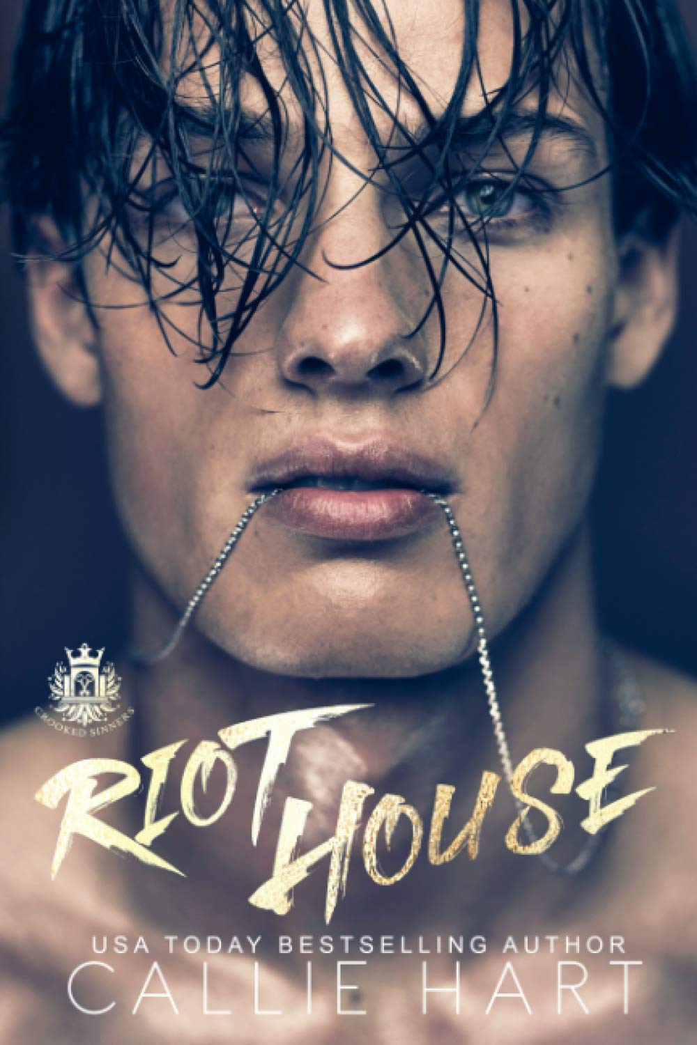 Könyv Riot House Callie Hart