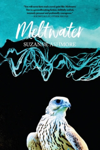 Knjiga Meltwater Suzanne Ashmore