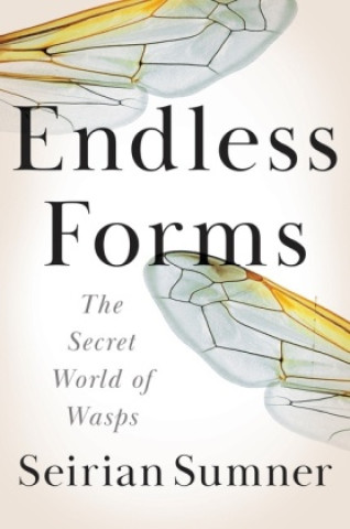 Book Endless Forms: The Secret World of Wasps Sumner