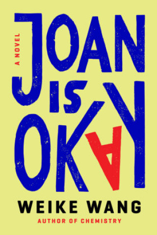 Kniha Joan Is Okay 