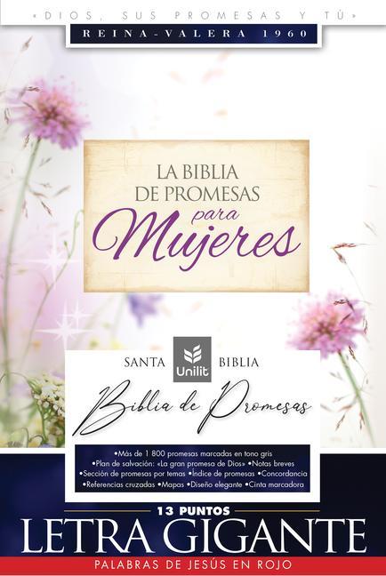 Kniha Santa Biblia de Promesas Reina-Valera 1960 / Letra Gigante - 13 Puntos / Piel Especial Con Índice / Floral // Spanish Promise Bible Rvr60 / Giant Prin 