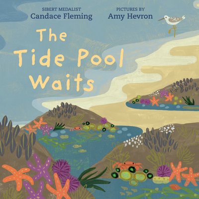 Kniha The Tide Pool Waits Amy Hevron