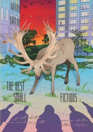 Buch The Best Small Fictions Anthology 2021 