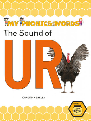 Knjiga The Sound of Ur 