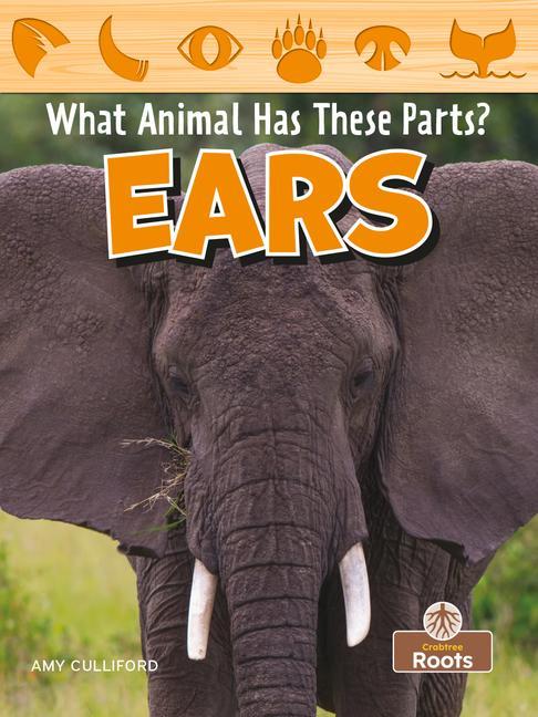 Knjiga Ears Amy Culliford