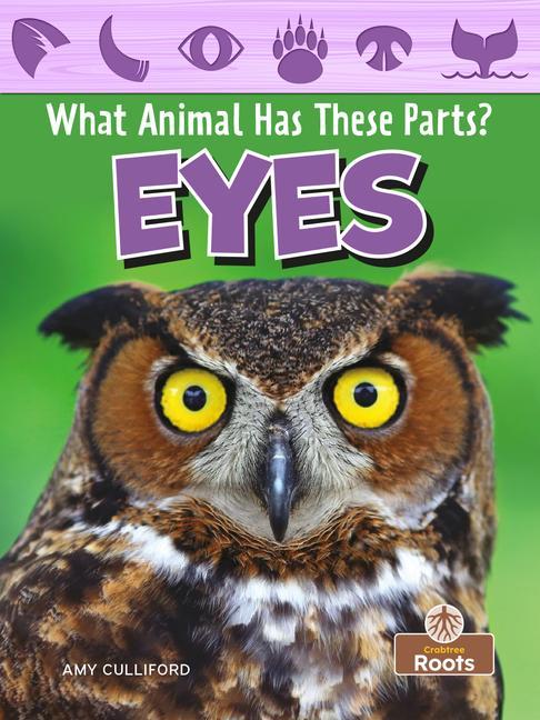 Buch Eyes Amy Culliford