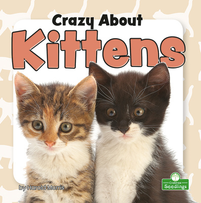 Knjiga Crazy about Kittens 