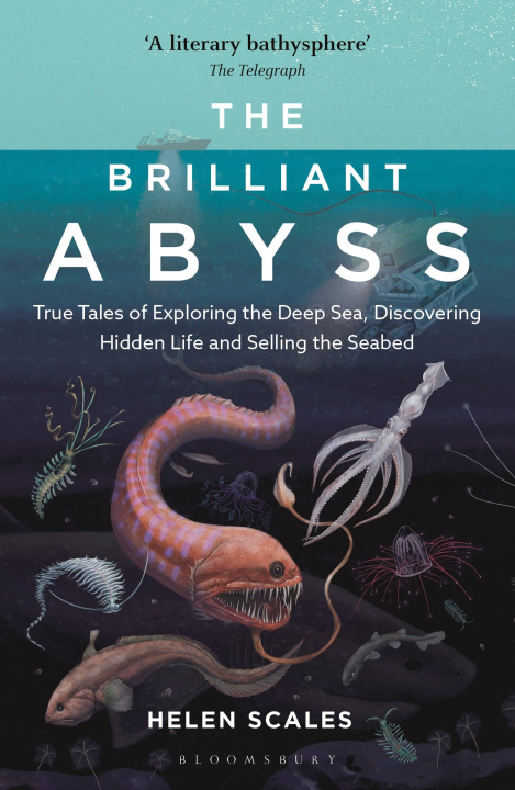 Książka Brilliant Abyss SCALES HELEN
