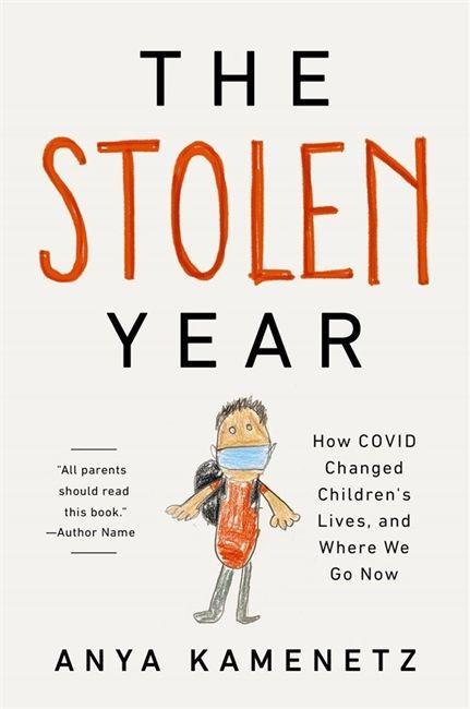 Book The Stolen Year Anya Kamenetz