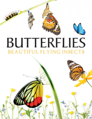 Carte Butterflies 