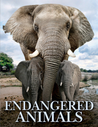 Knjiga Endangered Animals 