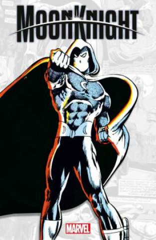 Kniha Moon Knight Matt Horak