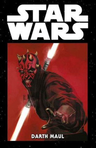 Könyv Star Wars Marvel Comics-Kollektion Luke Ross