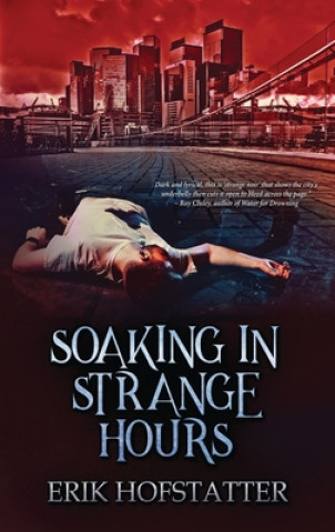 Buch Soaking in Strange Hours Erik Hofstatter