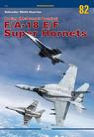 Könyv Boeing (Mcdonnell Douglas) F/A-18 E/F Super Hornets Vol. II 