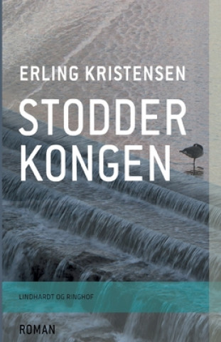 Kniha Stodderkongen 