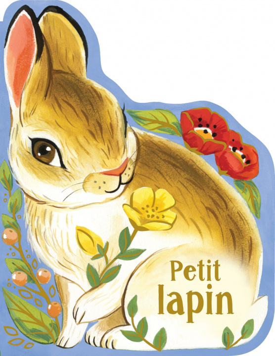 Knjiga Petit lapin Rosalee Wren