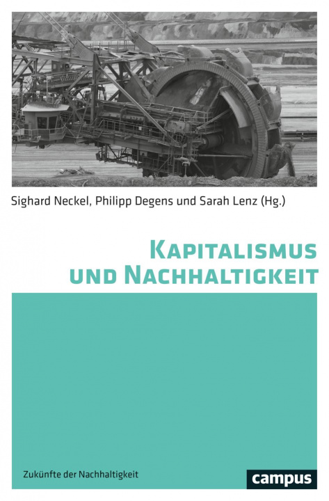 Kniha Kapitalismus und Nachhaltigkeit Philipp Degens