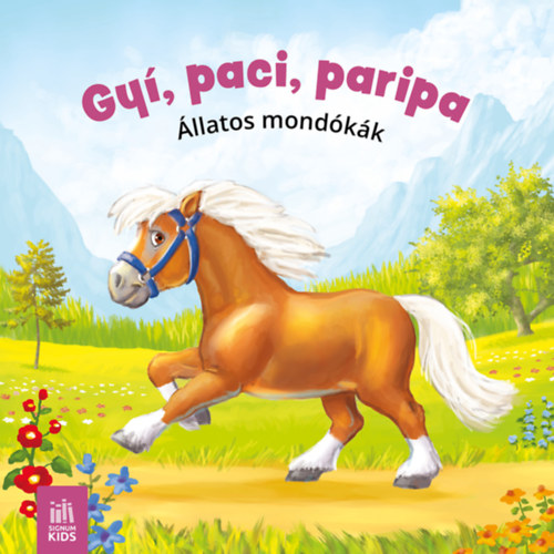 Książka Gyi paci paripa 