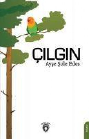 Knjiga Cilgin 