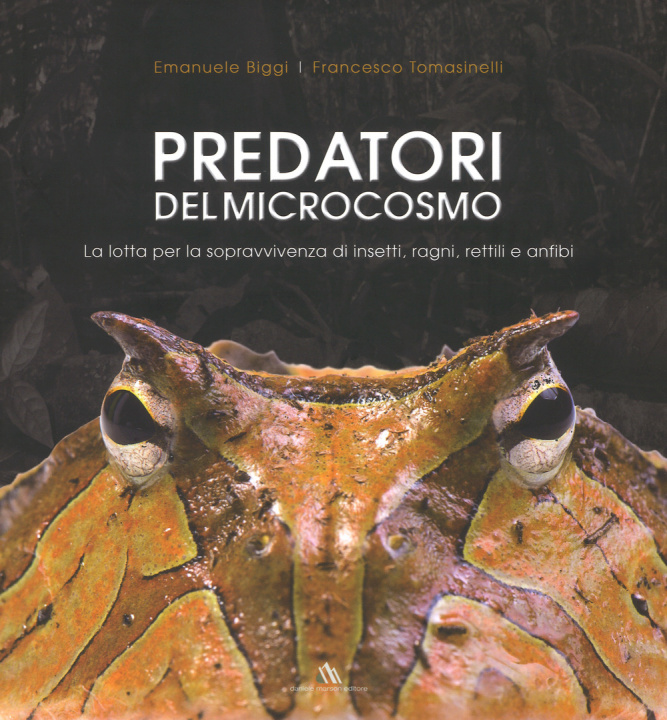 Kniha Predatori del microcosmo. La lotta per la sopravvivenza di insetti, ragni, rettili e anfibi Emanuele Biggi