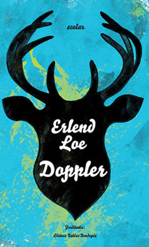 Buch Doppler Erlend Loe