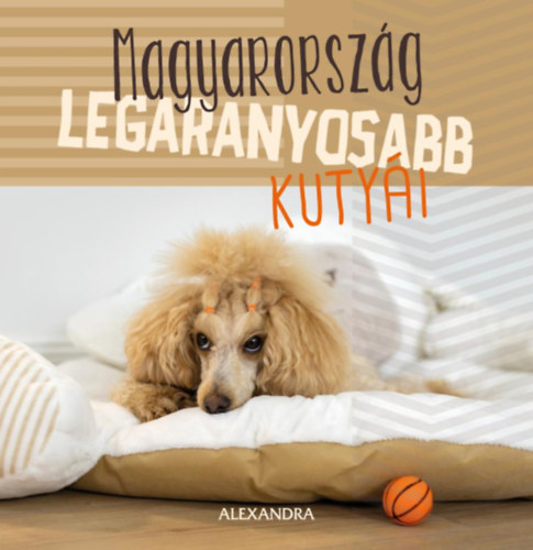 Kniha Magyarország legaranyosabb kutyái 