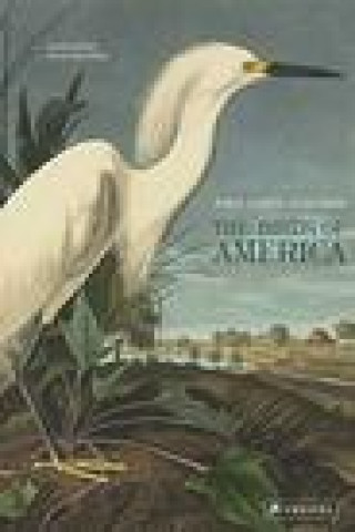 Kniha The Birds of America John James Audubon