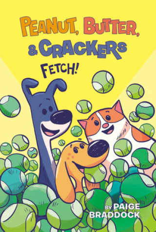 Knjiga Fetch! BRADDOCK PAIGE