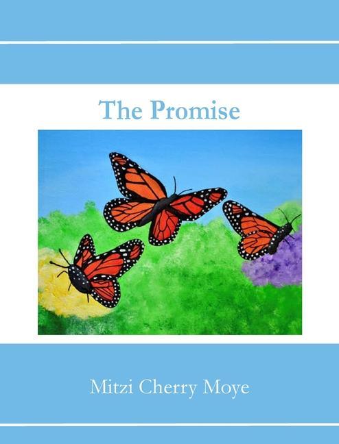 Boek Promise Lauren Dicktel