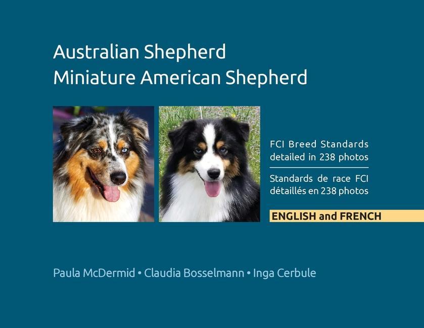 Carte Australian Shepherd, Miniature American Shepherd 