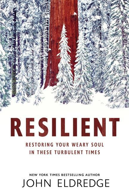 Könyv Resilient: Restoring Your Weary Soul in These Turbulent Times 