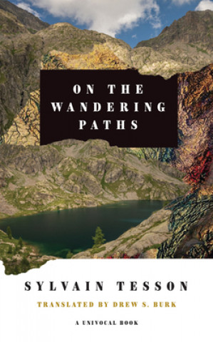 Könyv On the Wandering Paths Drew S. Tesson