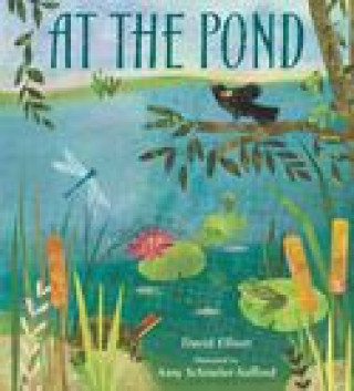 Boek At the Pond Amy Schimler-Safford