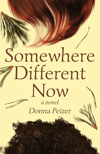 Knjiga Somewhere Different Now Donna Peizer