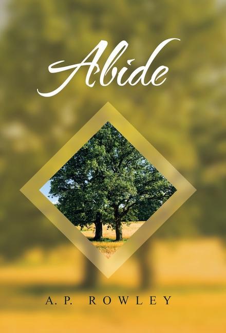 Knjiga Abide A. P. Rowley
