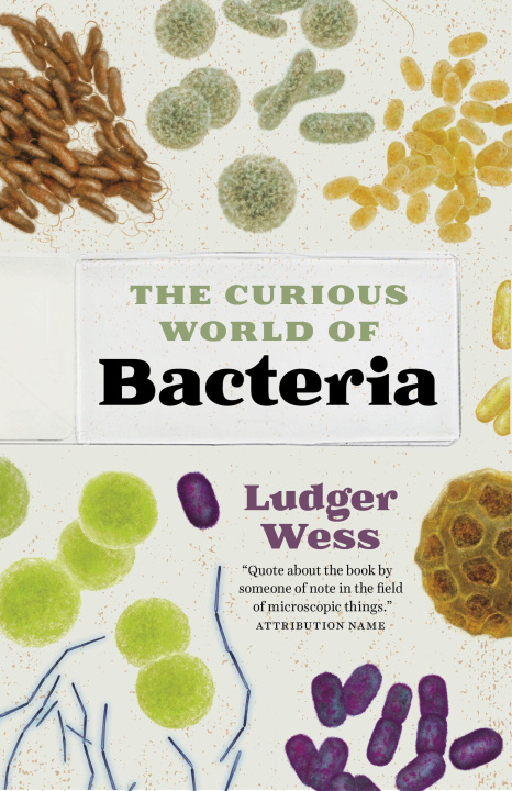 Könyv Bacteria Ludger Wess