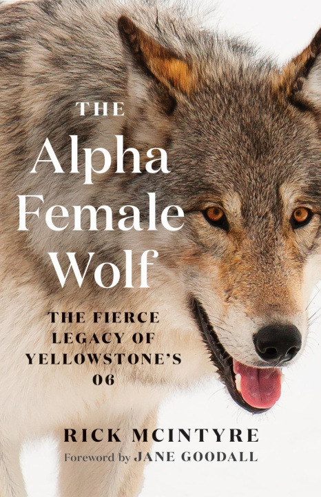 Könyv Alpha Female Wolf 