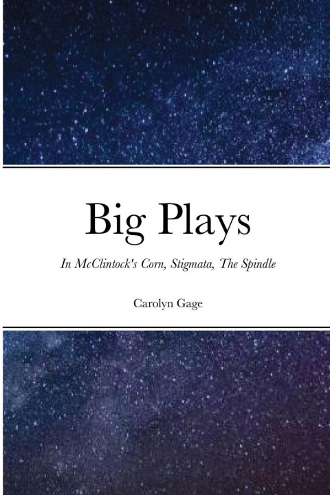 Knjiga Big Plays Carolyn Gage